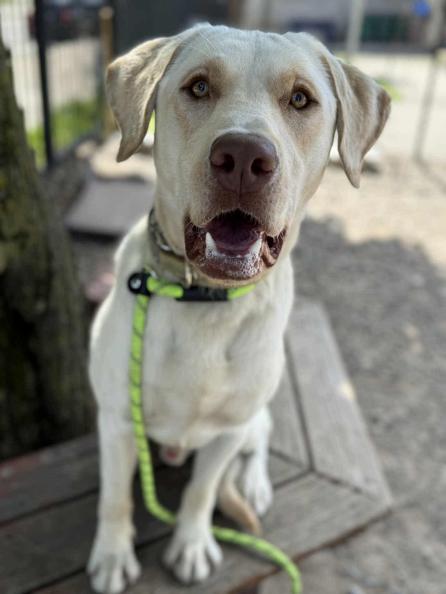 Tucker