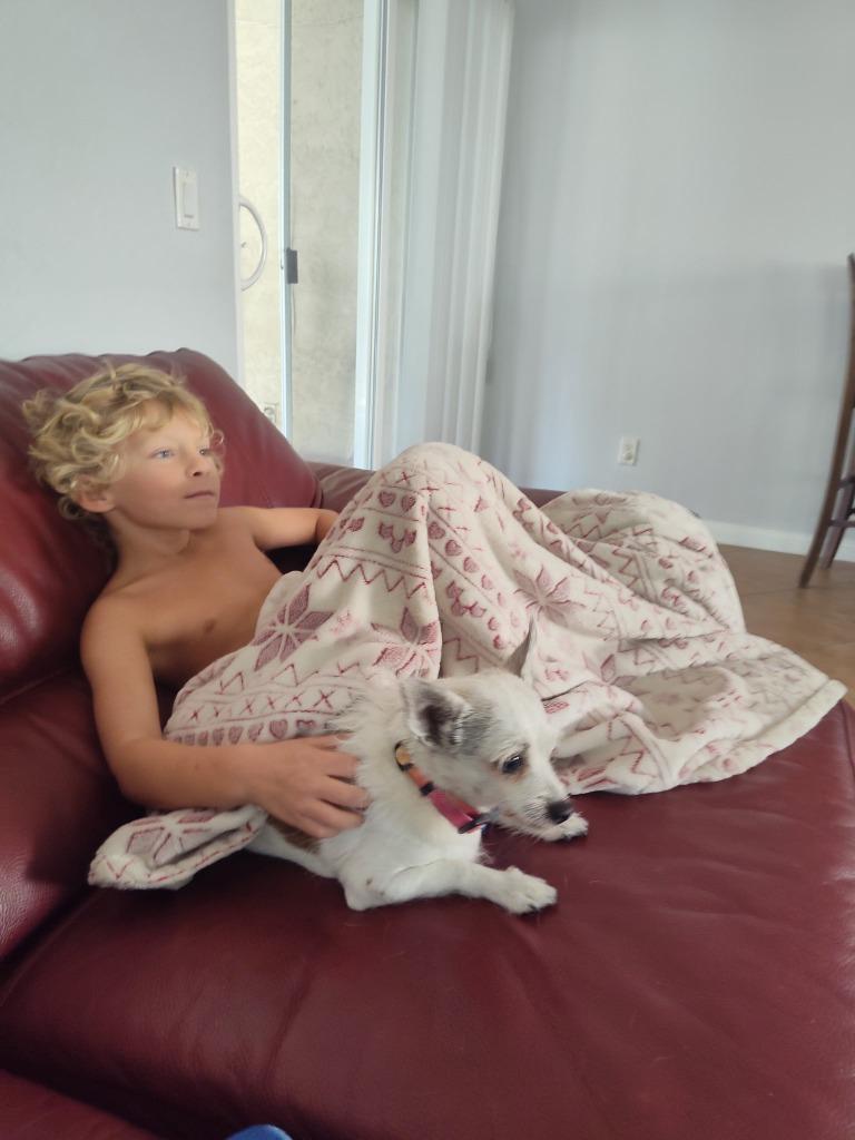 Olive — thumbnail 3