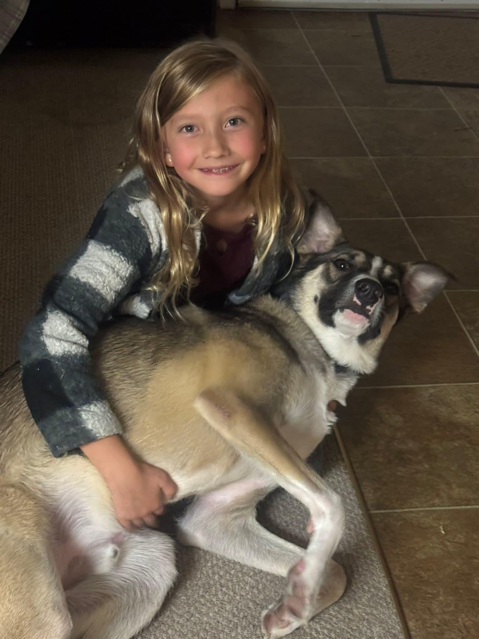 Milo, a Adoptable mixed breed in Farmingville, NY image 1/3