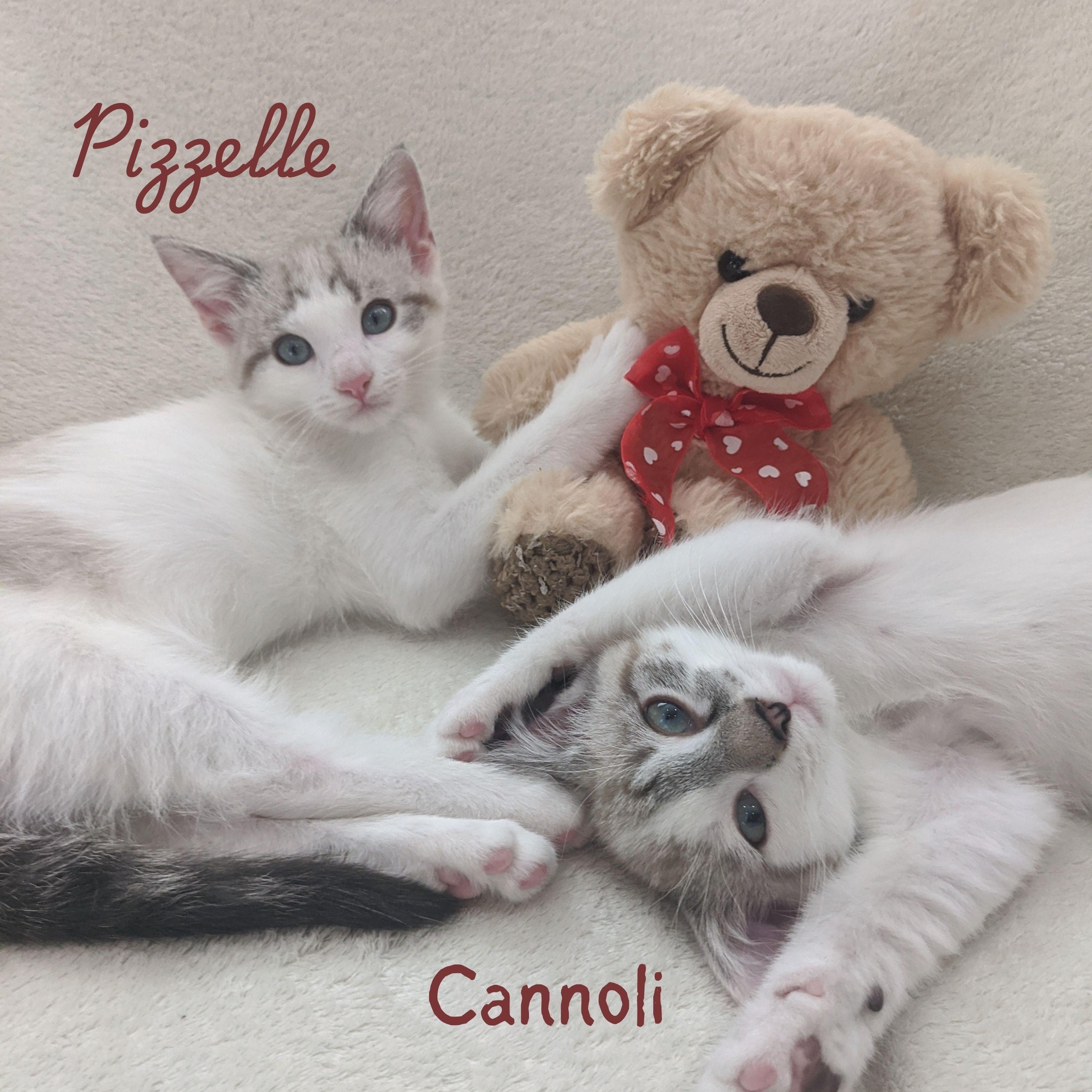 Cannoli and Pizzelle