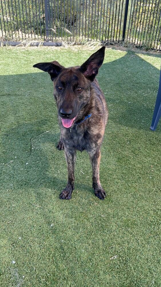 Waffles  Located In thumbnail 2