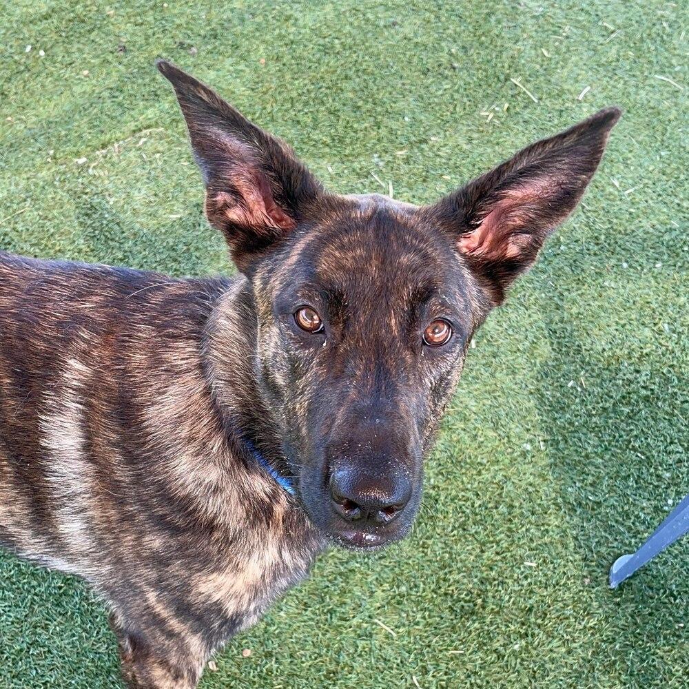 Waffles  Located In thumbnail 3