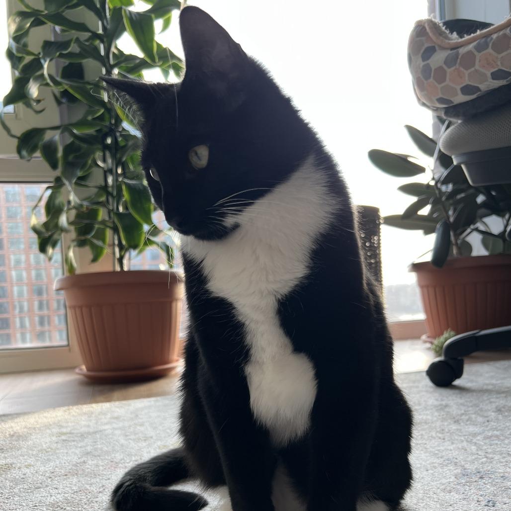 Sammie — thumbnail 2