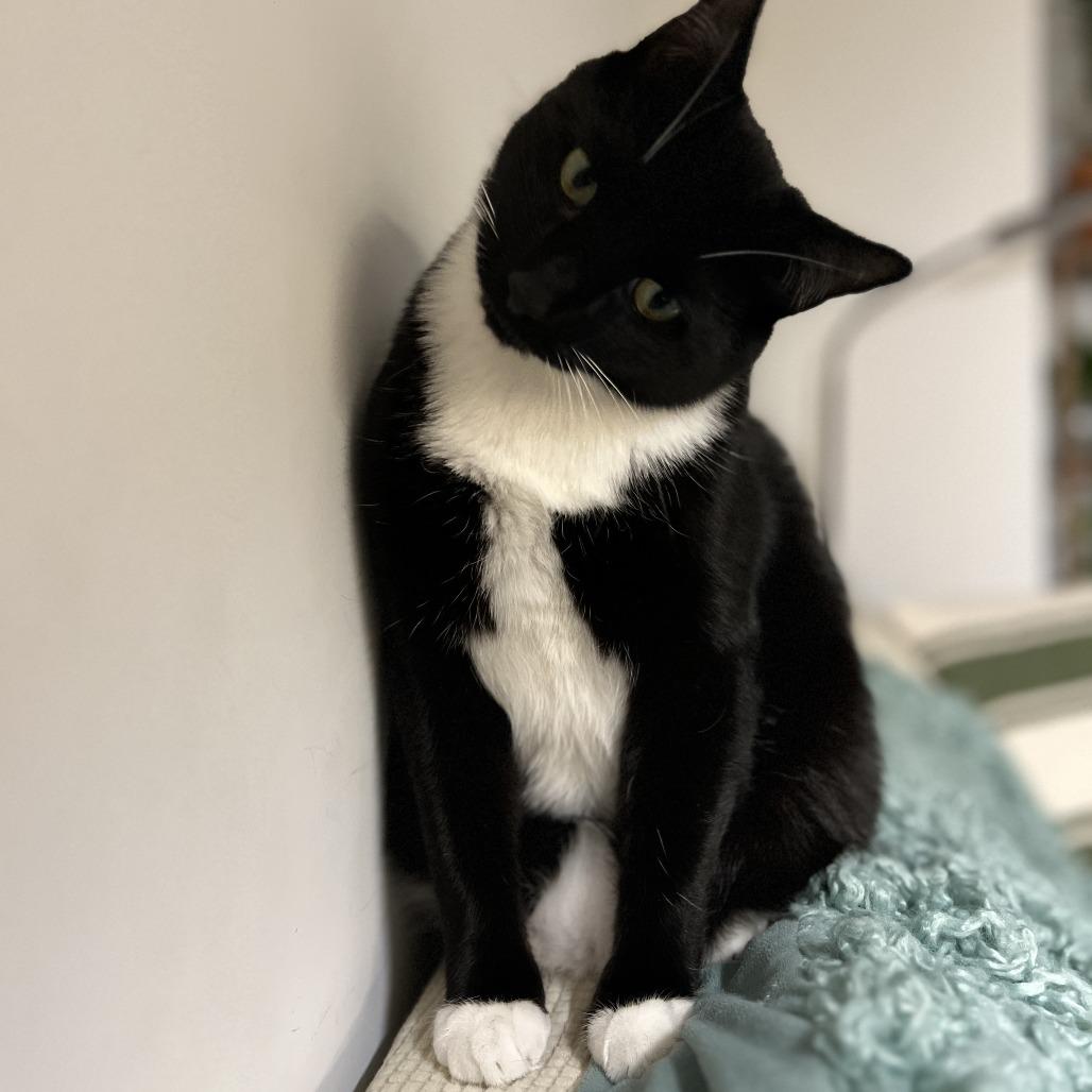 Sammie — thumbnail 3