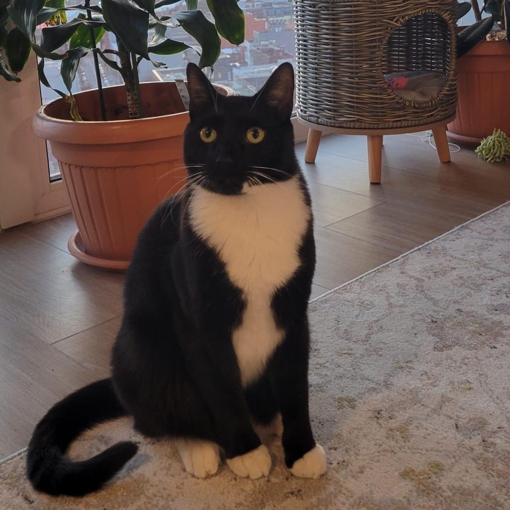 Sammie — thumbnail 5