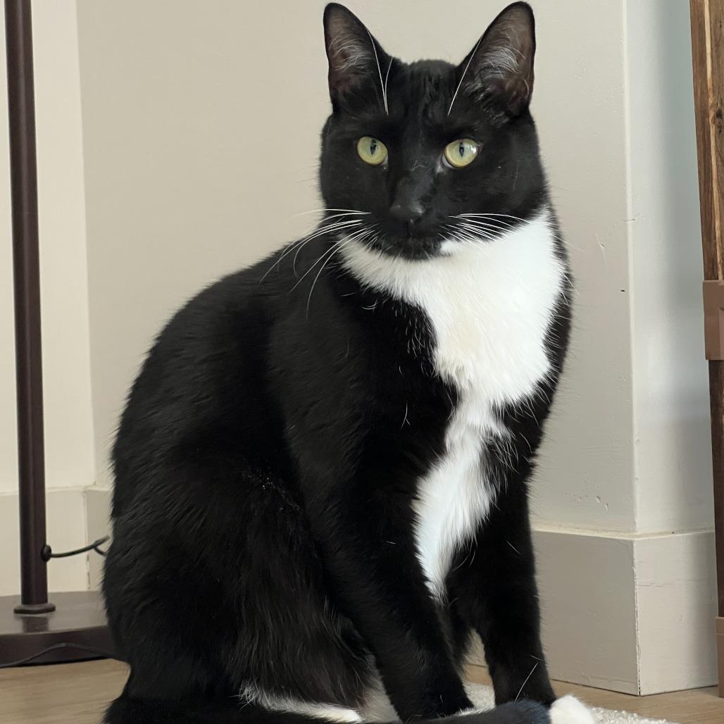 Sammie — thumbnail 6