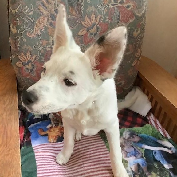 Samantha