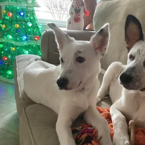 Samantha