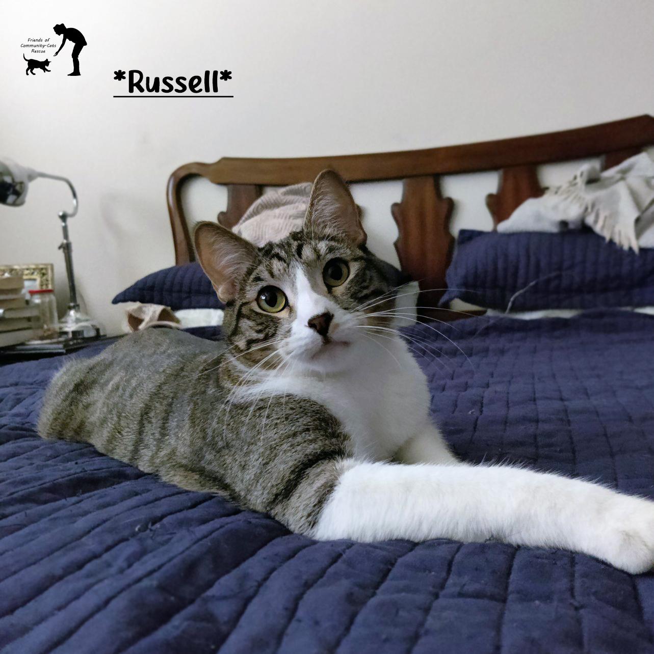 Russell