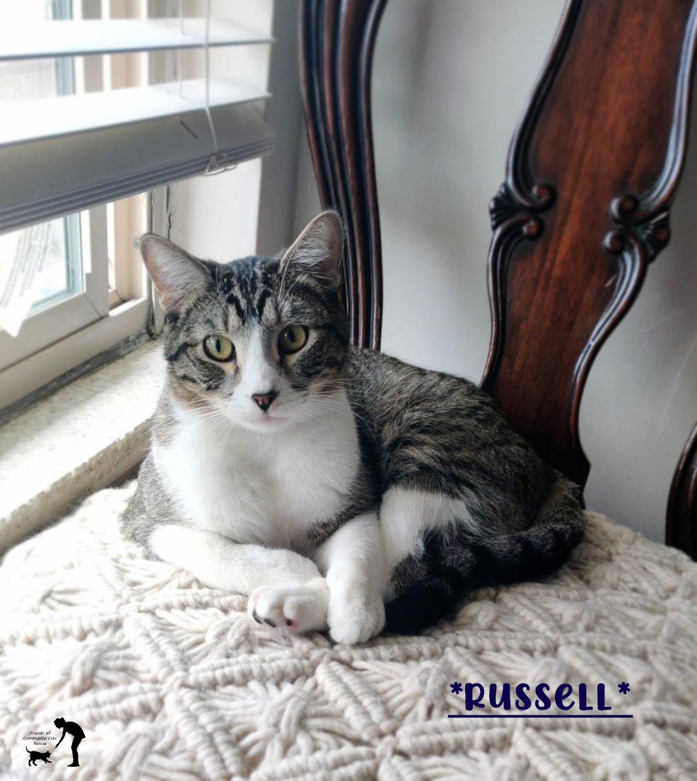 Russell 1