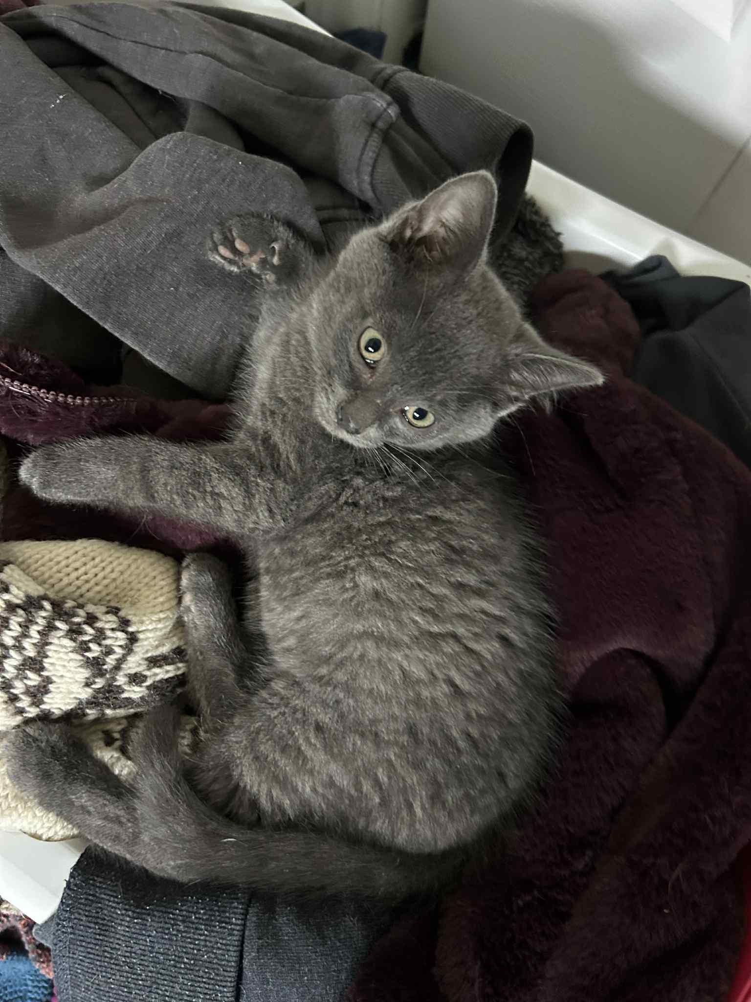 Found by Exeter, Baby Male unknown