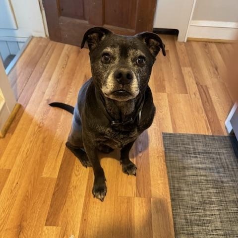 BARRETT-LOCATED IN RHODE ISLAND