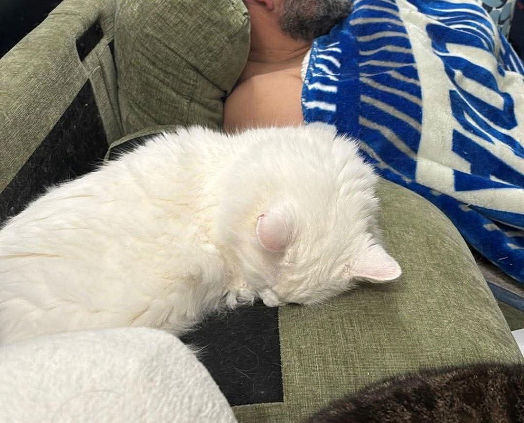 Atticus (and Boo) — thumbnail 3