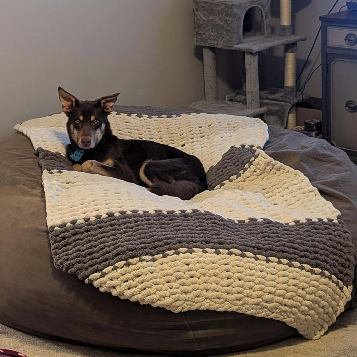 Rusty, a ADOPTABLE Mixed Breed in Kenosha, WI image 6/6