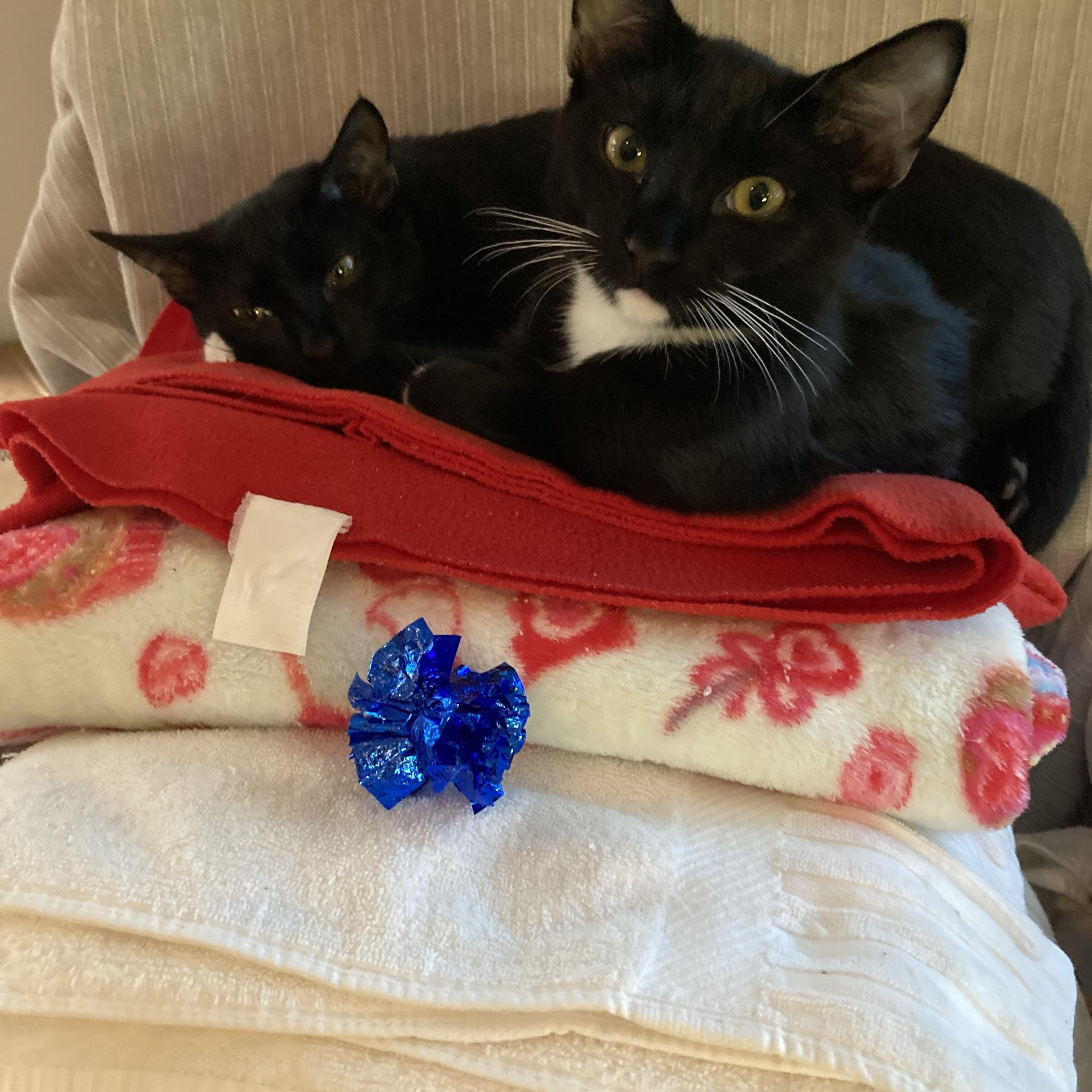 Magic & Minnie