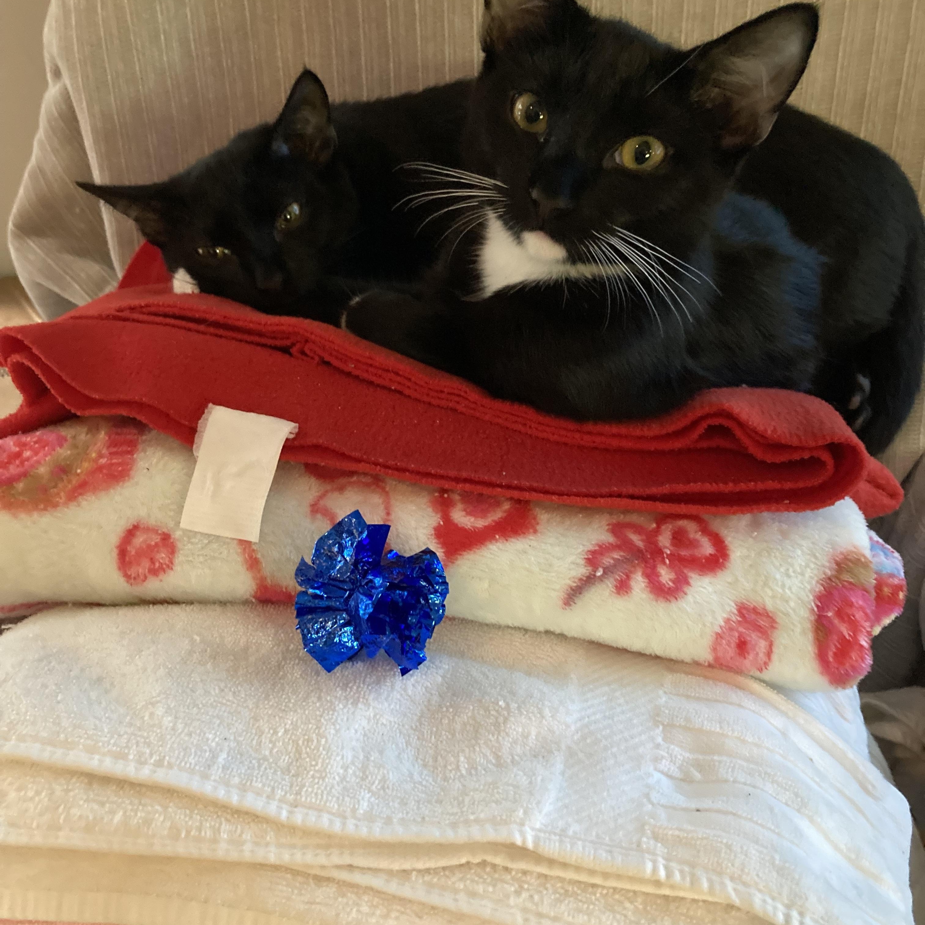 Magic & Minnie