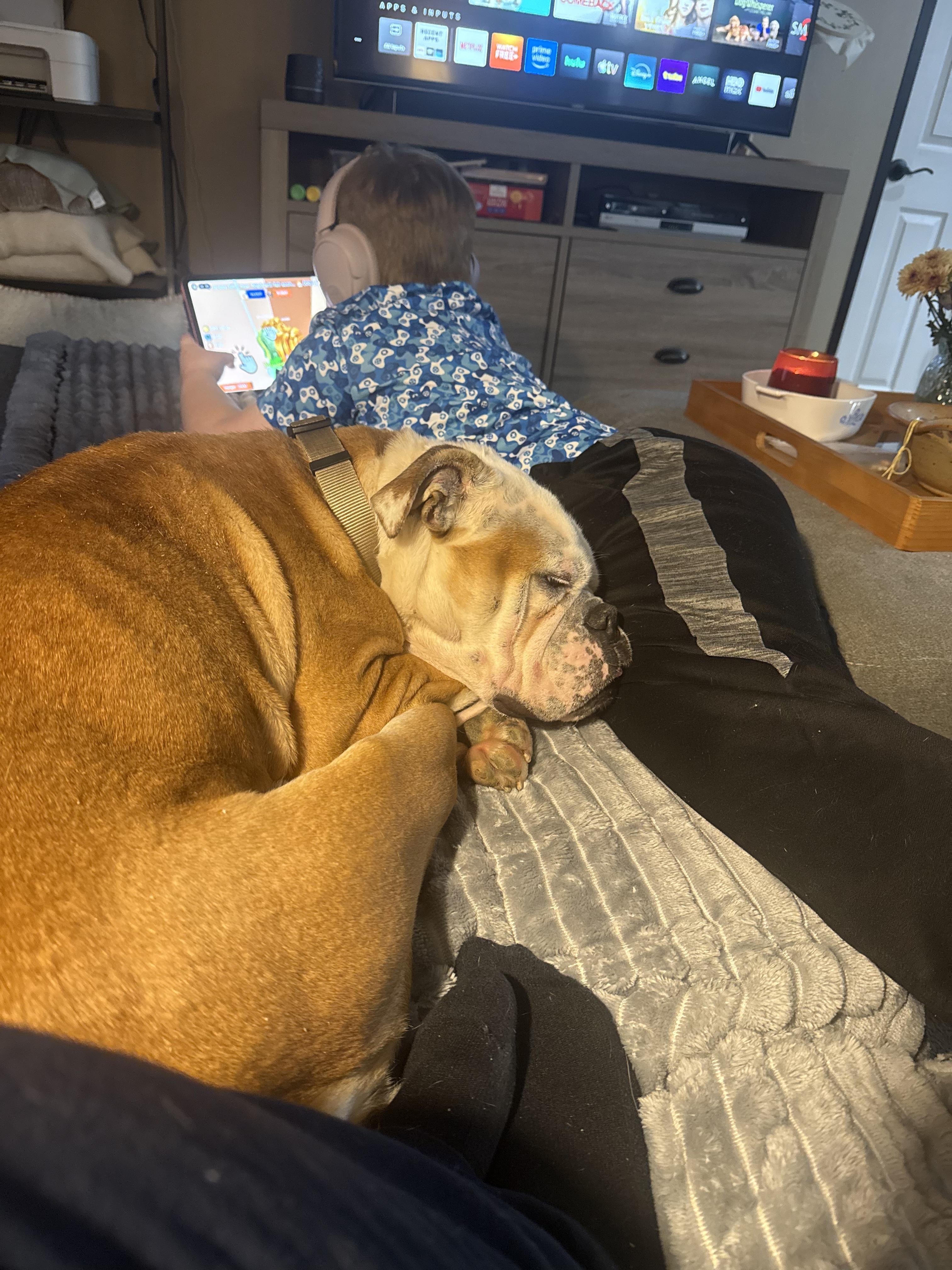 ENZO — thumbnail 3