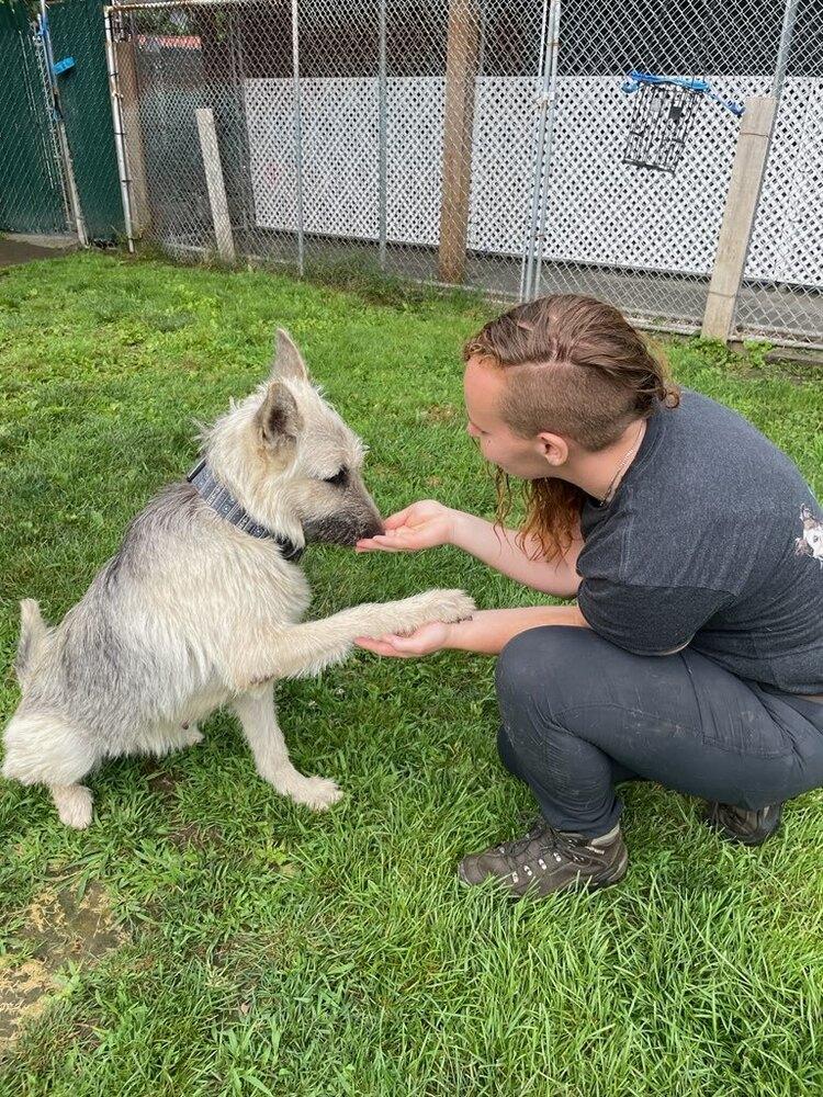 Gigi The Glamorous thumbnail 2