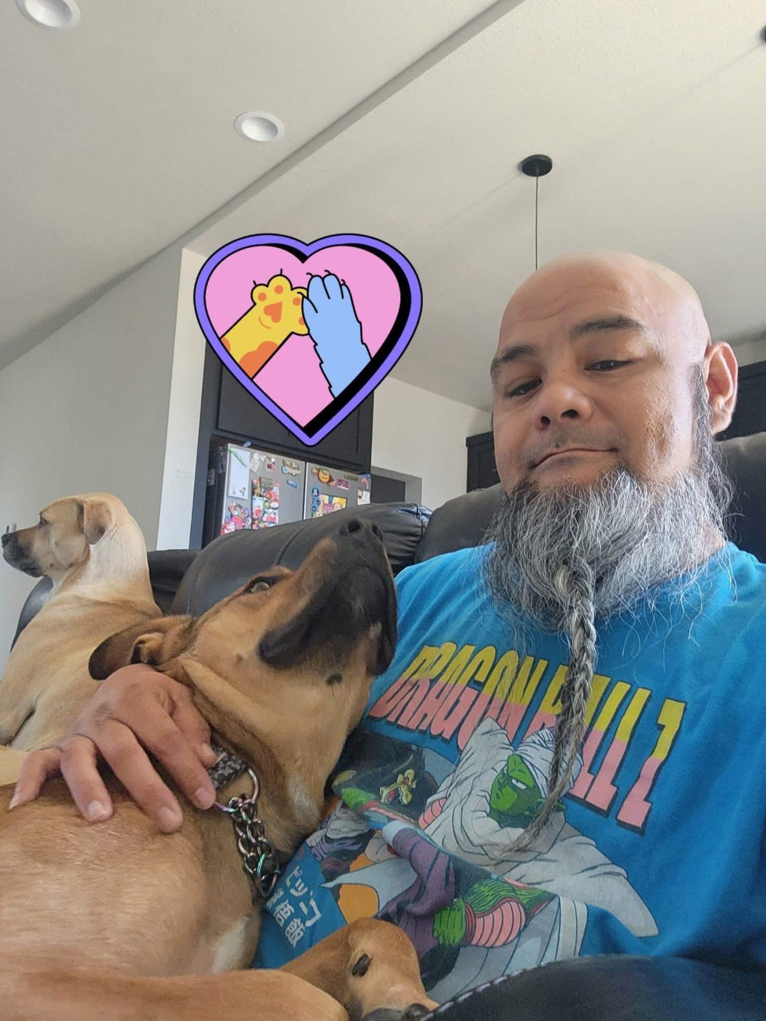Oso, an adopted mixed breed in Colorado Springs, CO image 4/5
