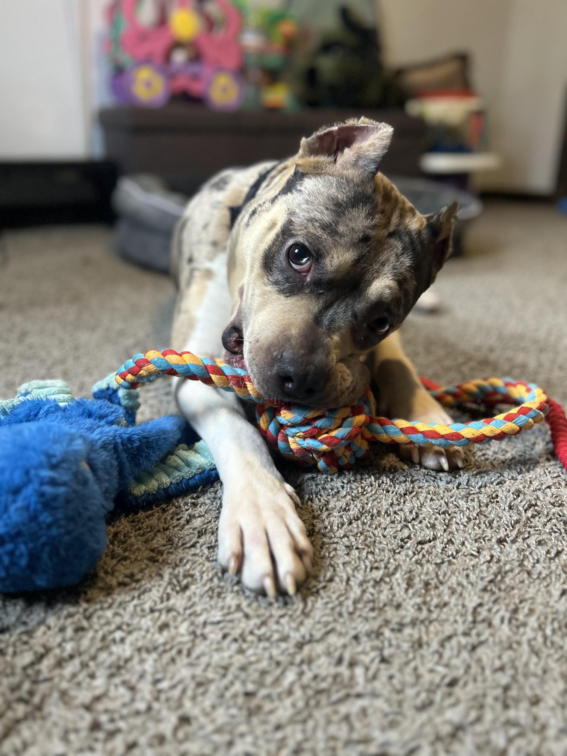 Tyson