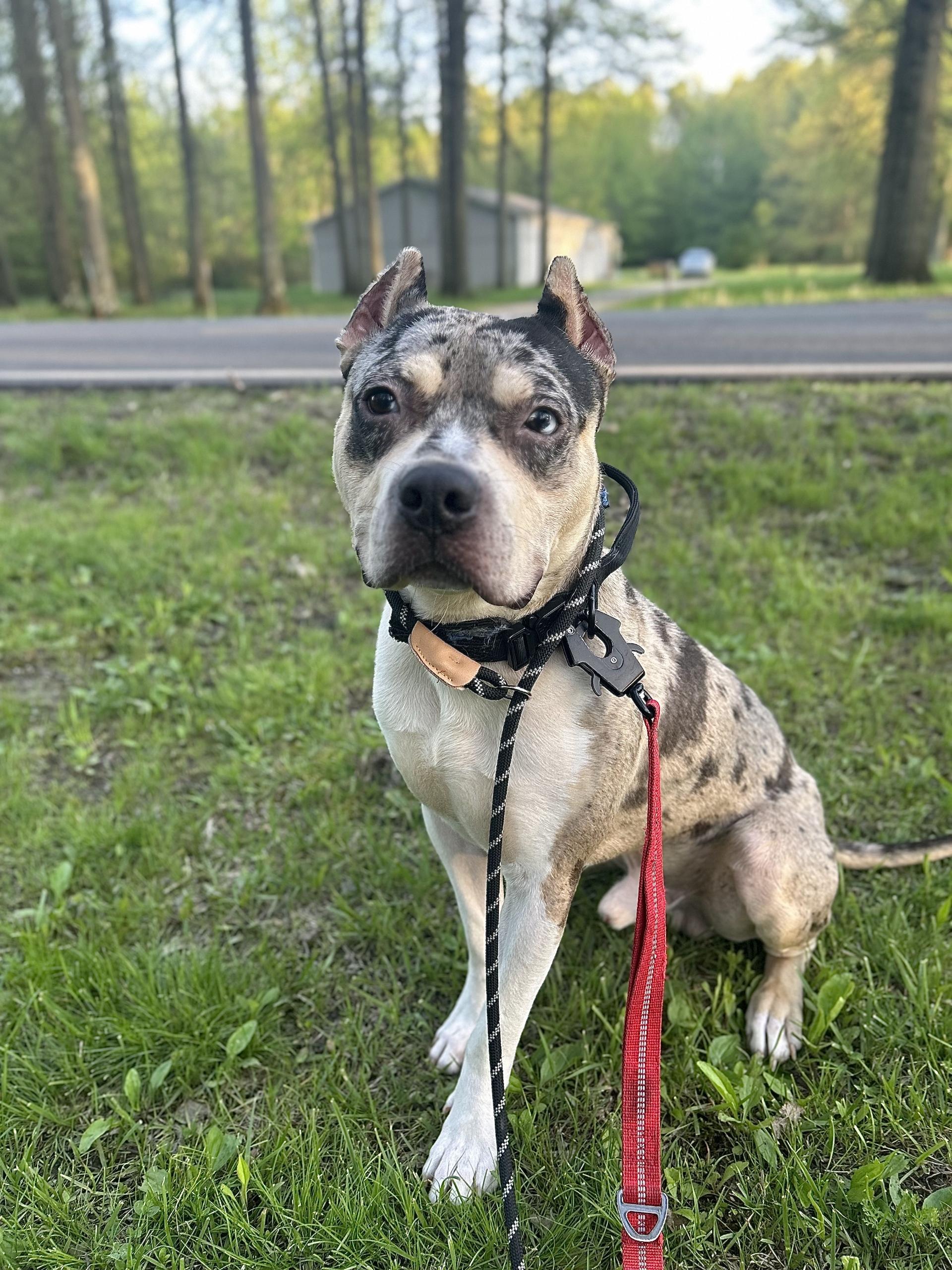 Tyson