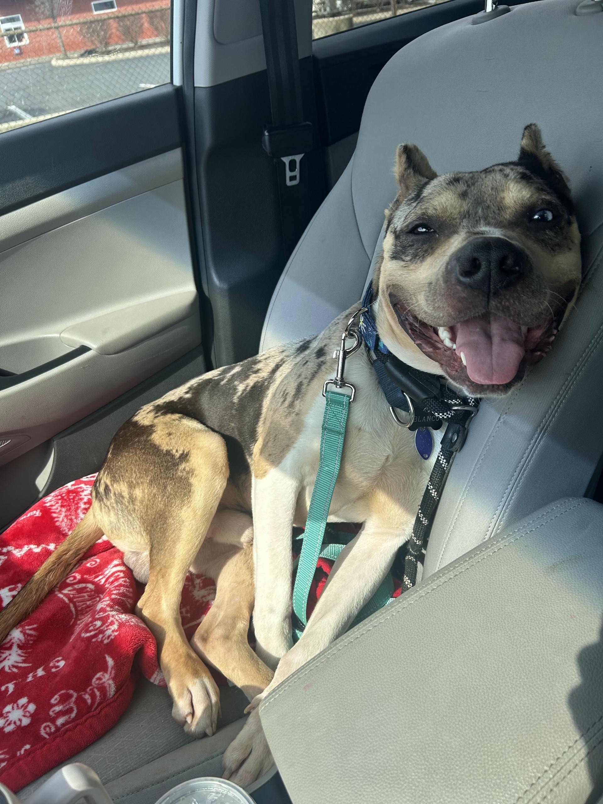 Tyson
