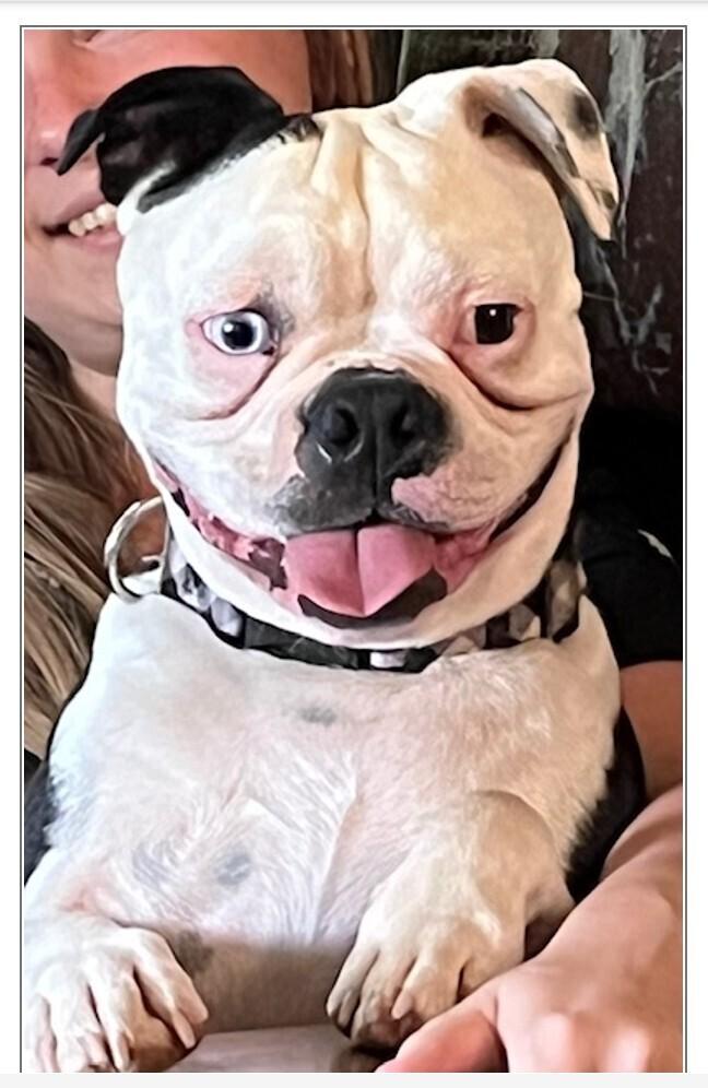 Jake Williams Gainesville 