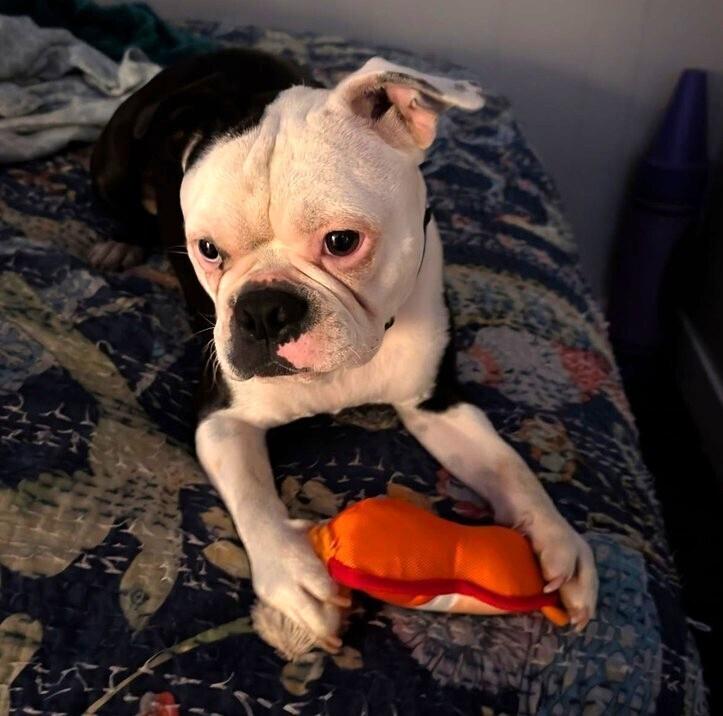 Jake Williams Gainesville  thumbnail 2