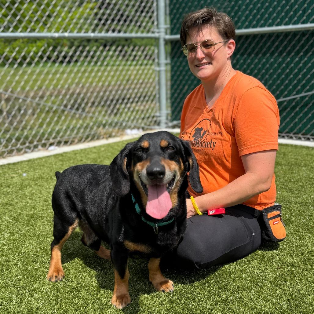 Enlarge Hugo, a Adoptable mixed breed in Nashville, IN image 6/6
