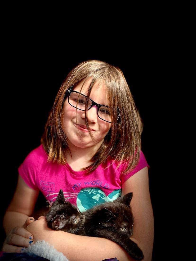 Black kittens#1, Adopted, Kitten Female Domestic Medium Hair.