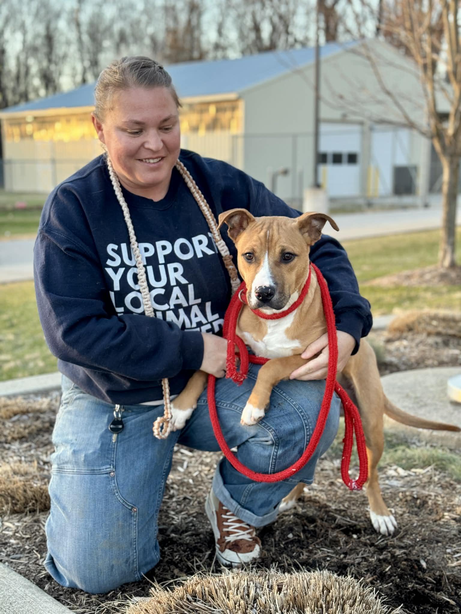 Pesto, a ADOPTABLE Mixed Breed in Benton Harbor, MI image 4/6