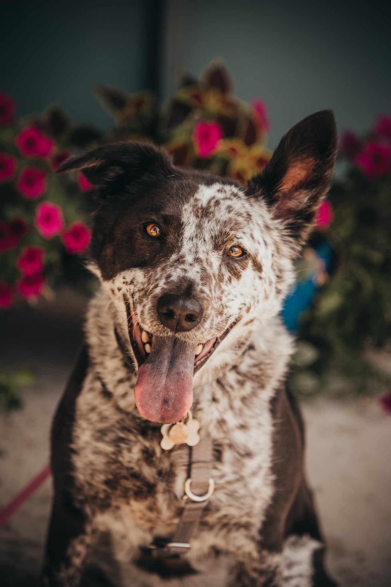 Marley Mae photo 6