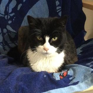 Boots — thumbnail 2