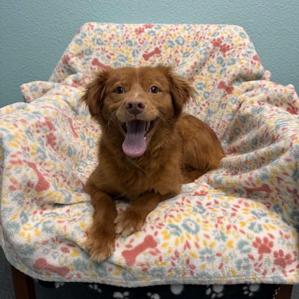 Patrick — thumbnail 2