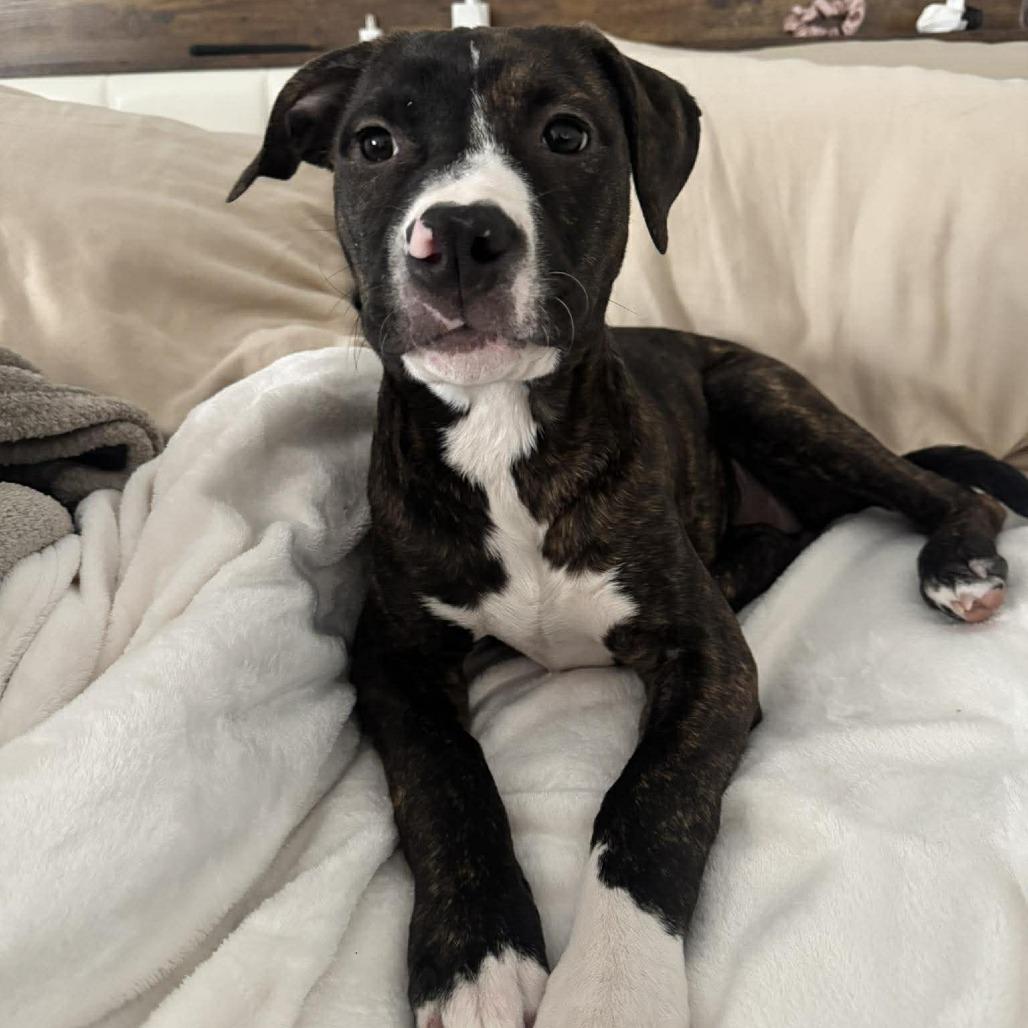 Honey — thumbnail 2