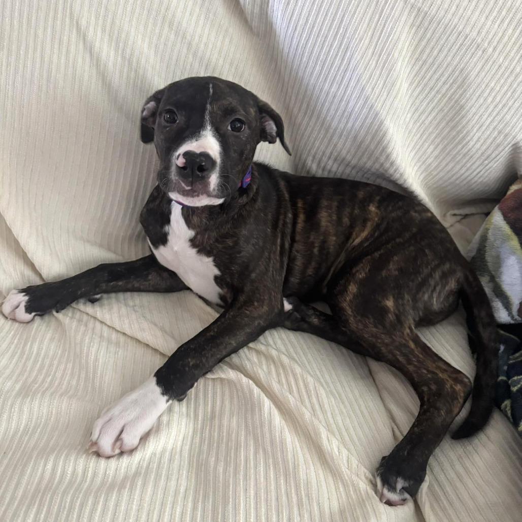 Honey — thumbnail 2