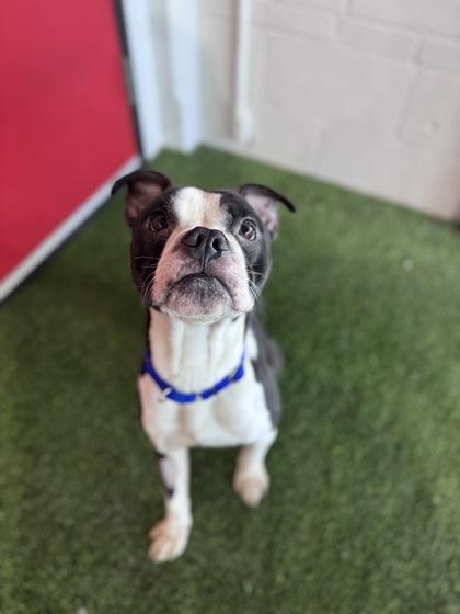 Jonny — thumbnail 2