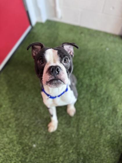 Jonny — thumbnail 3