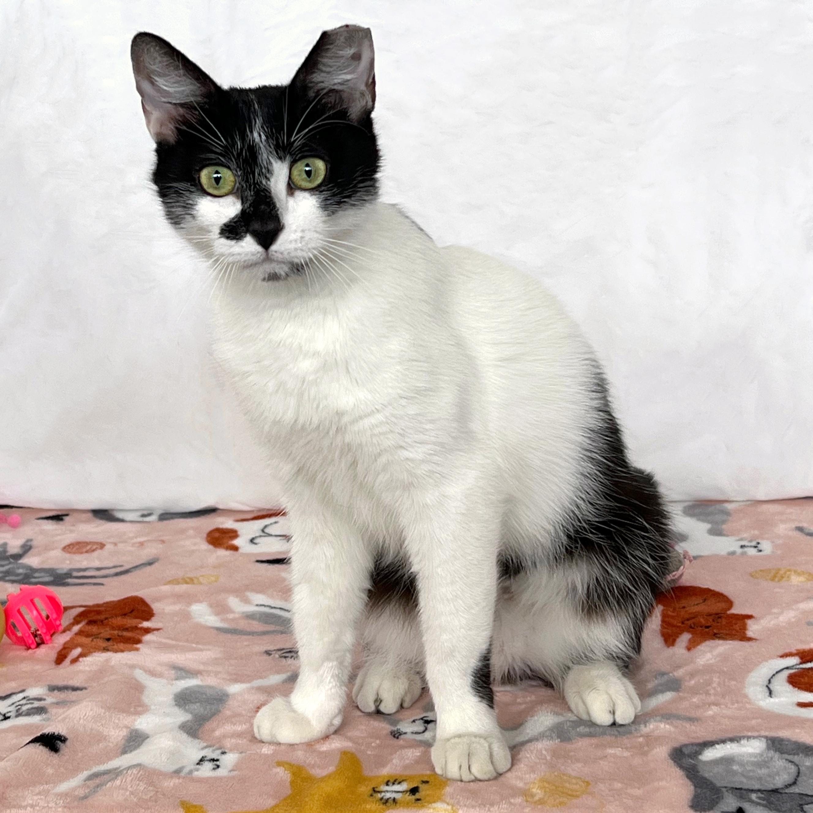 Li’l Dumplin’, Young Female unknown
