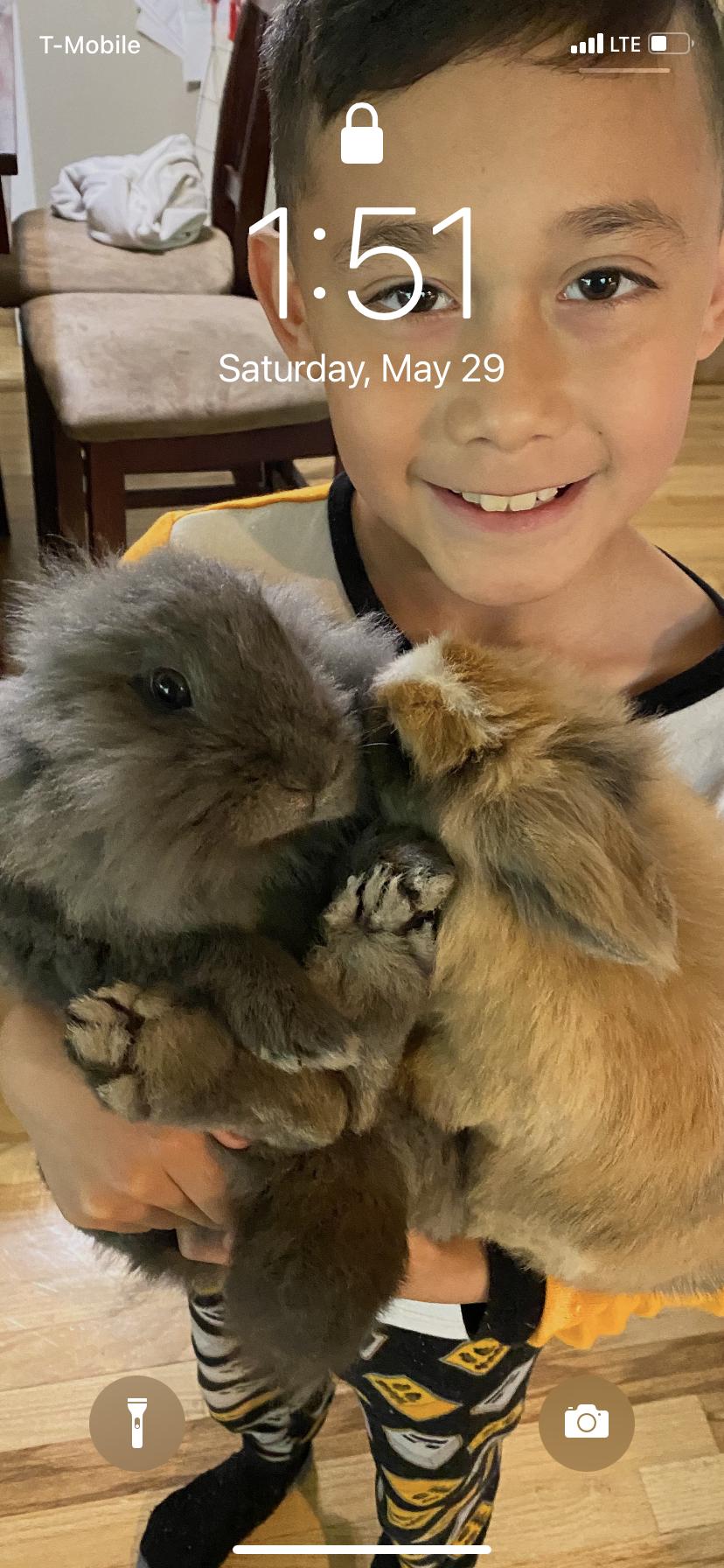 Luna & Peaches photo