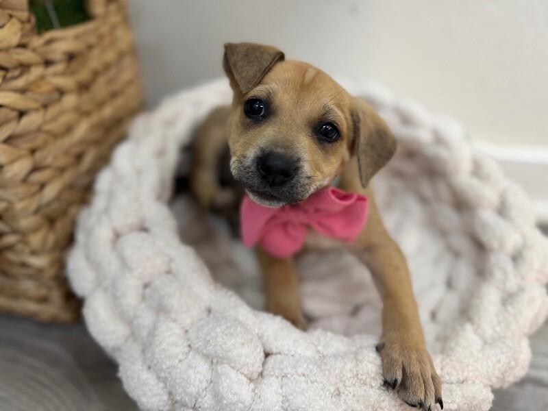 Mary Moore Kisses — thumbnail 2