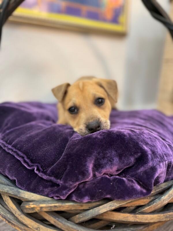 Mary Moore Kisses — thumbnail 3