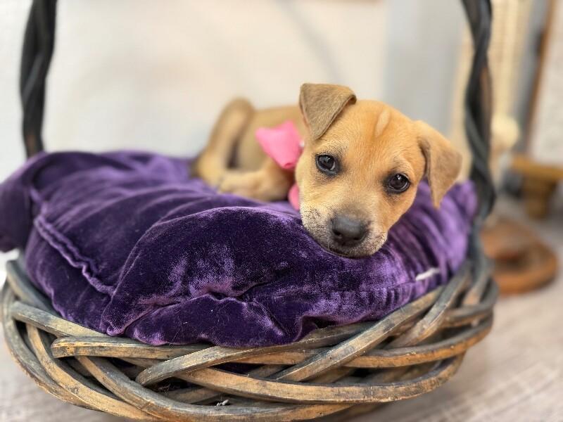 Mary Moore Kisses — thumbnail 4