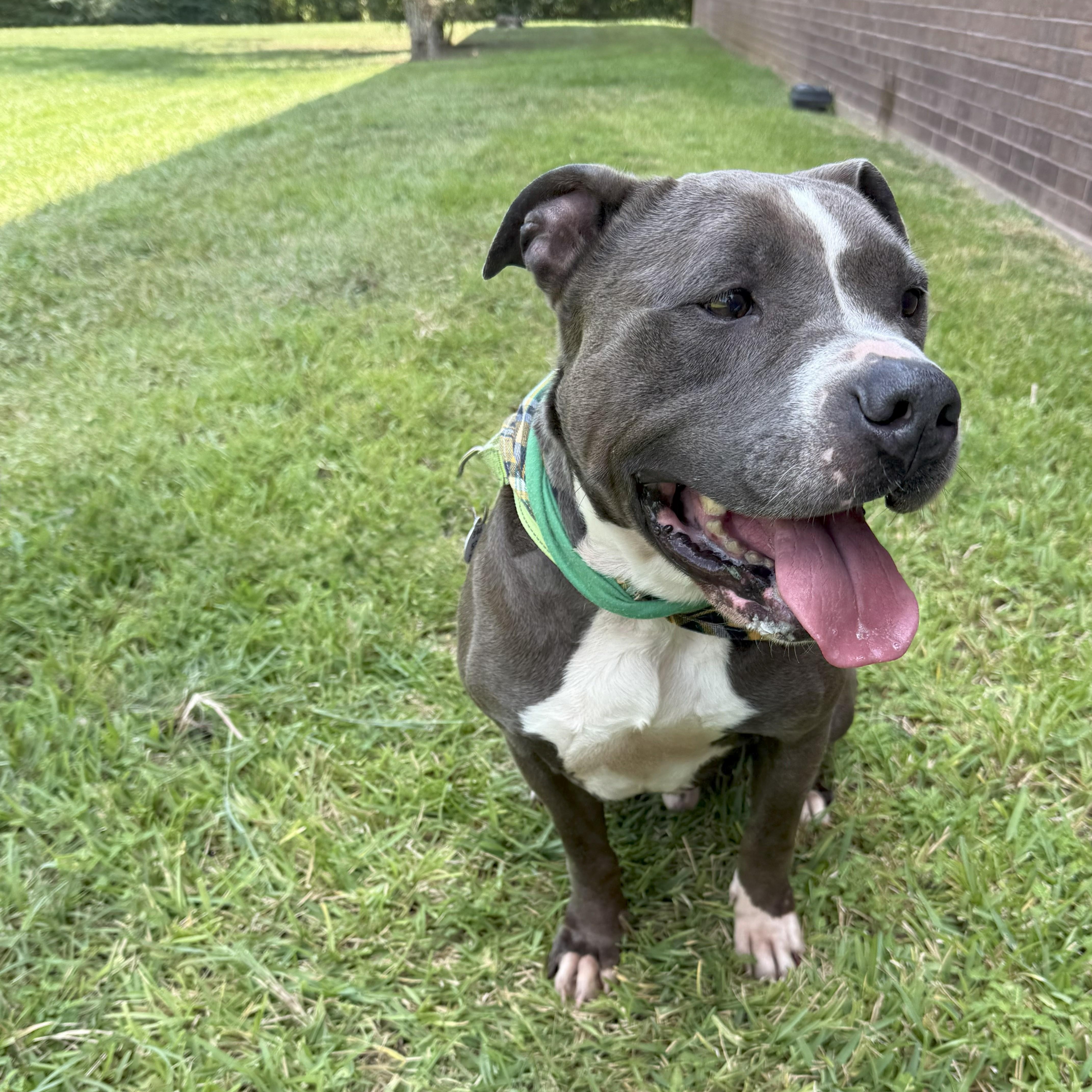 J. Cole — thumbnail 4