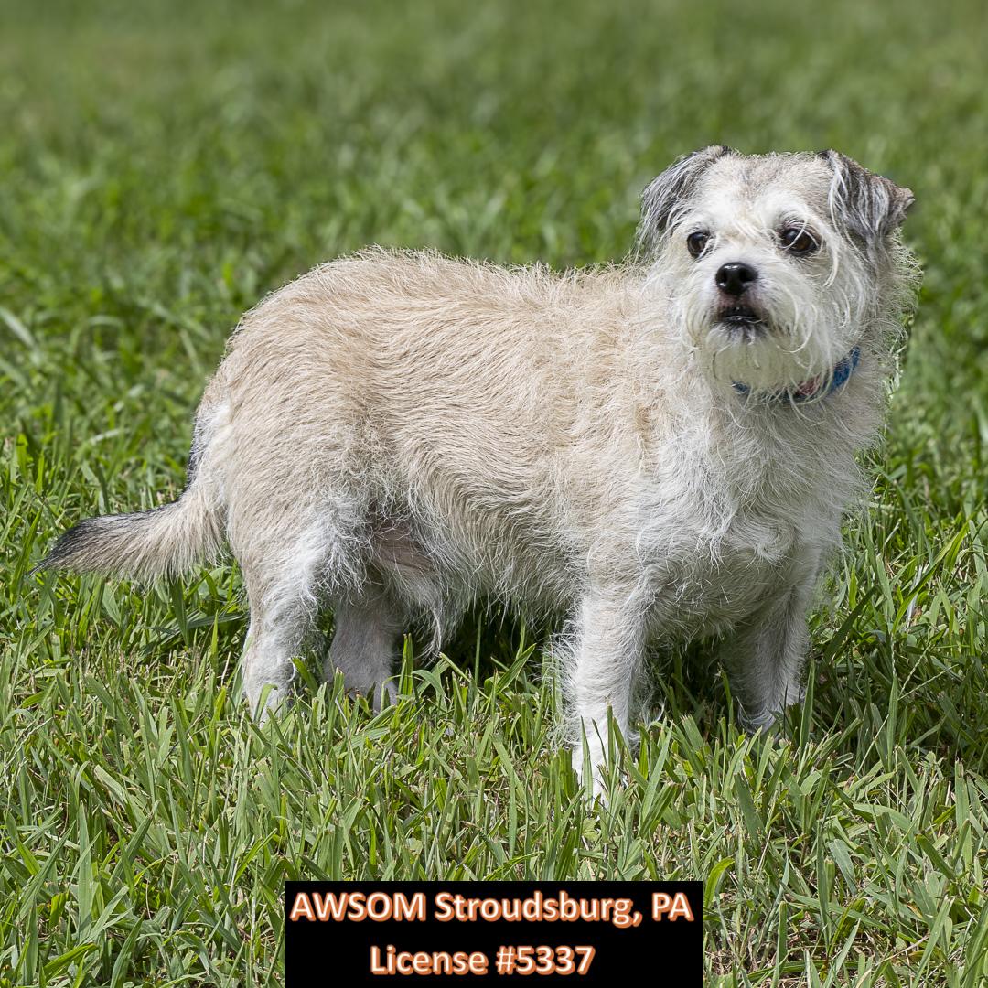Cheech, Senior Male unknown