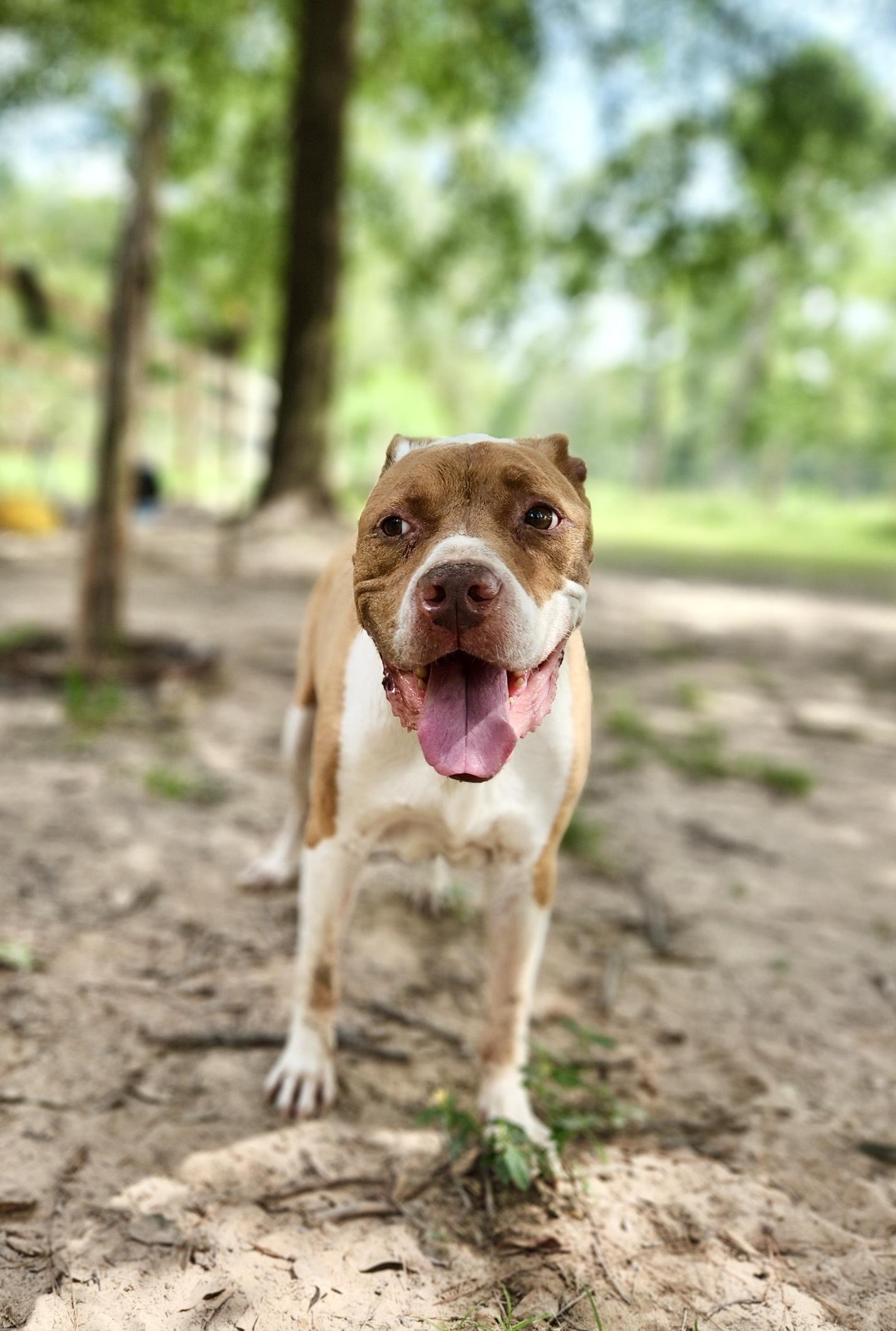 Jordan, Senior Male unknown