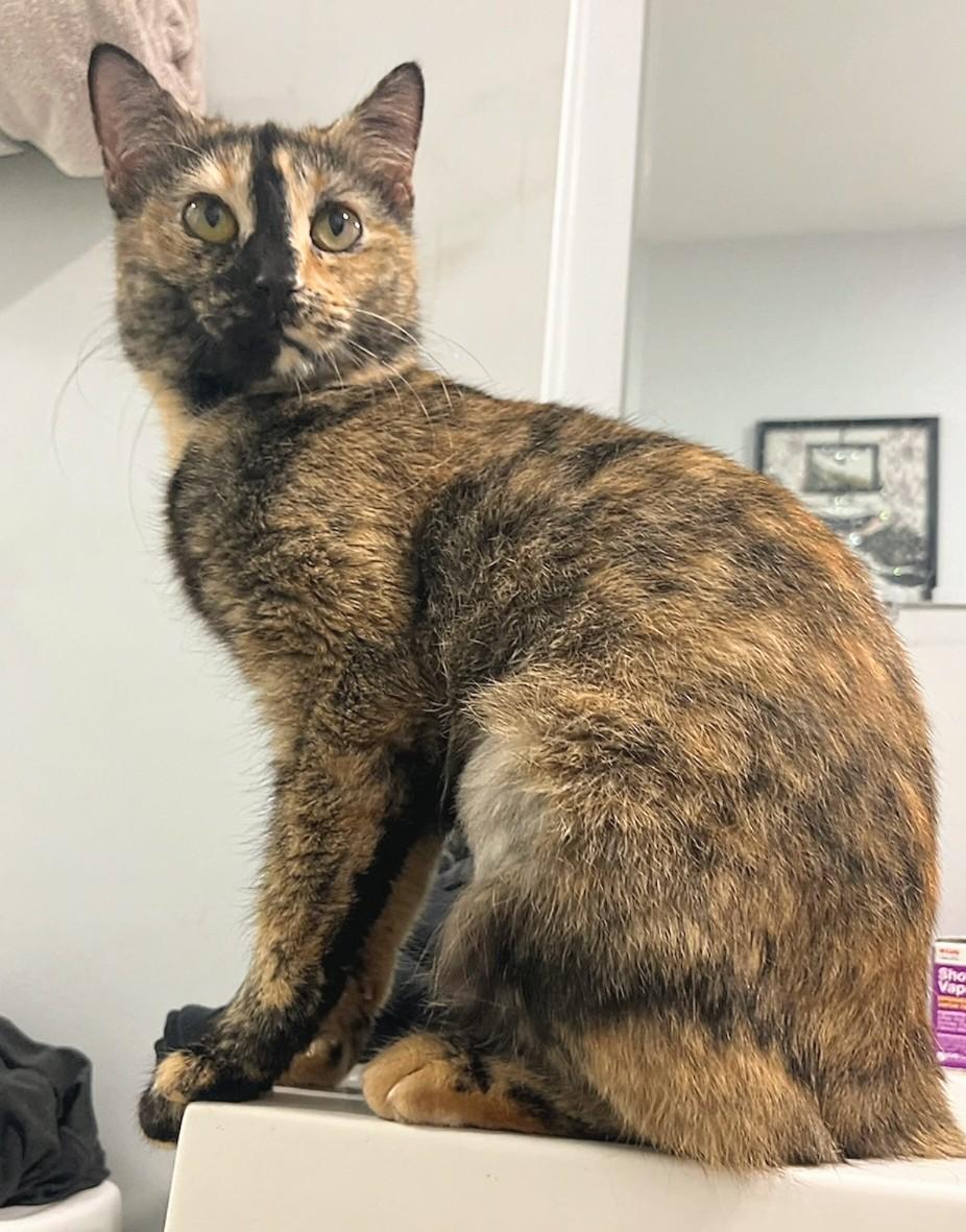 Miss Kiki photo 1