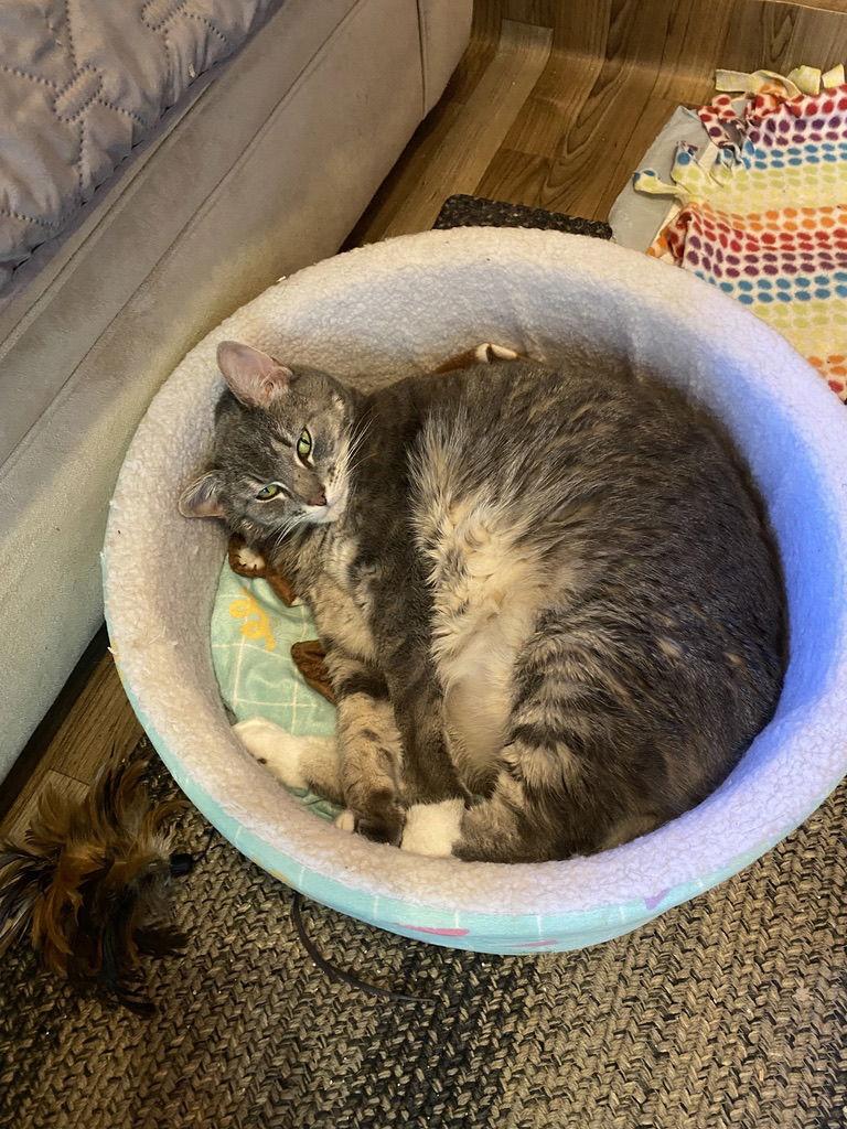 Rylie — thumbnail 2