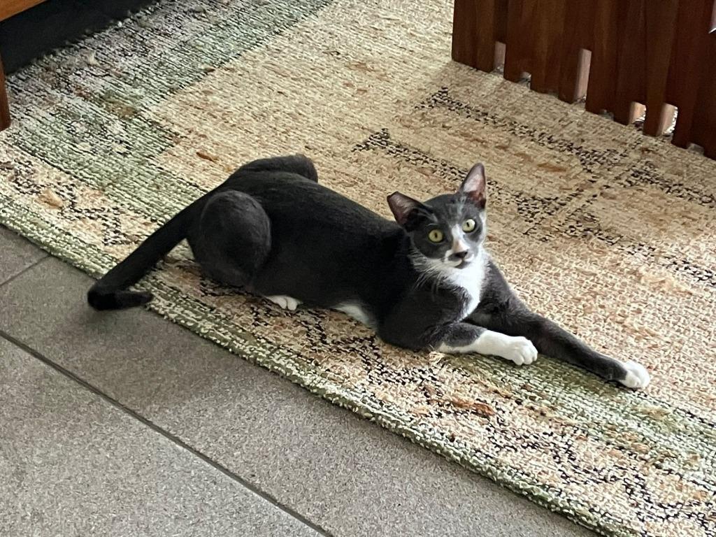 Ophelia — thumbnail 3