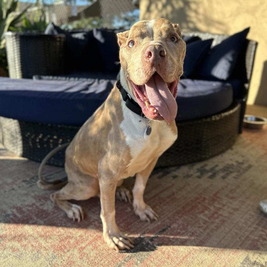 Golly — thumbnail 2